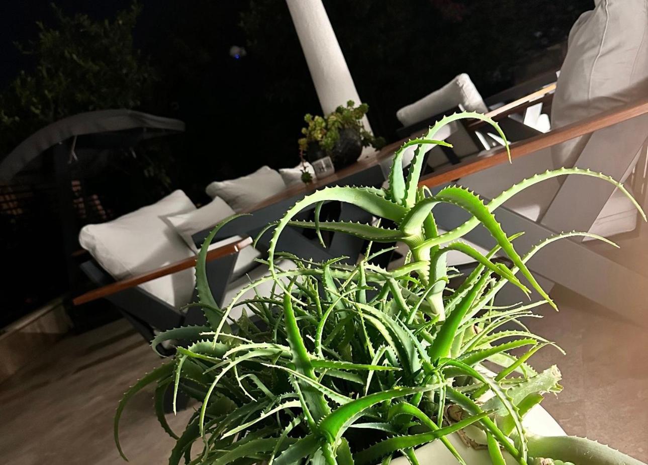 Noa Suite Hotel Only Adult Bodrum Eksteriør billede